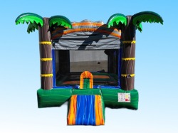 2E82A359 4B34 4935 91D7 431BF4EFA73B 439360657 (Large) Tropical Crush Bounce: B447