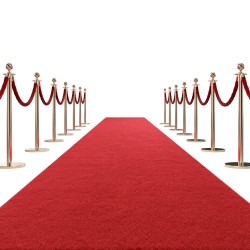 10' Red Carpet with Velvet Stand