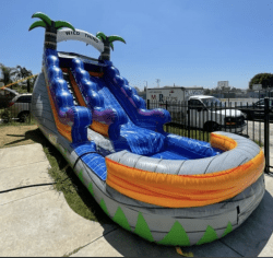 17' Wild Thing Waterslide