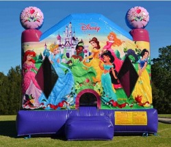 (Large) Disney Princess Bounce: B-006