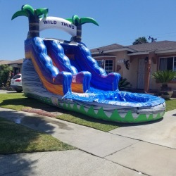 15' Wild Thing Waterslide