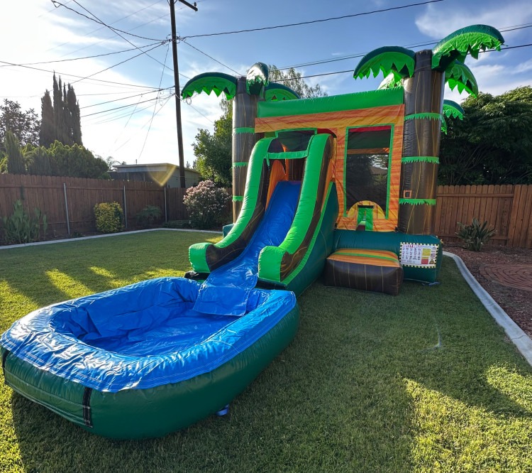 (Medium) Tropical Combo Waterslide #217