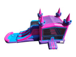 XL Princess DL Combo Wet/Dry #225